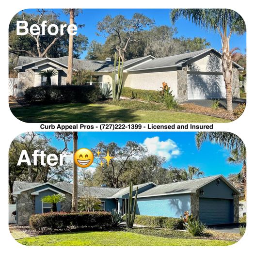 Painting Houses in Palm Harbor and all Tampa Bay area